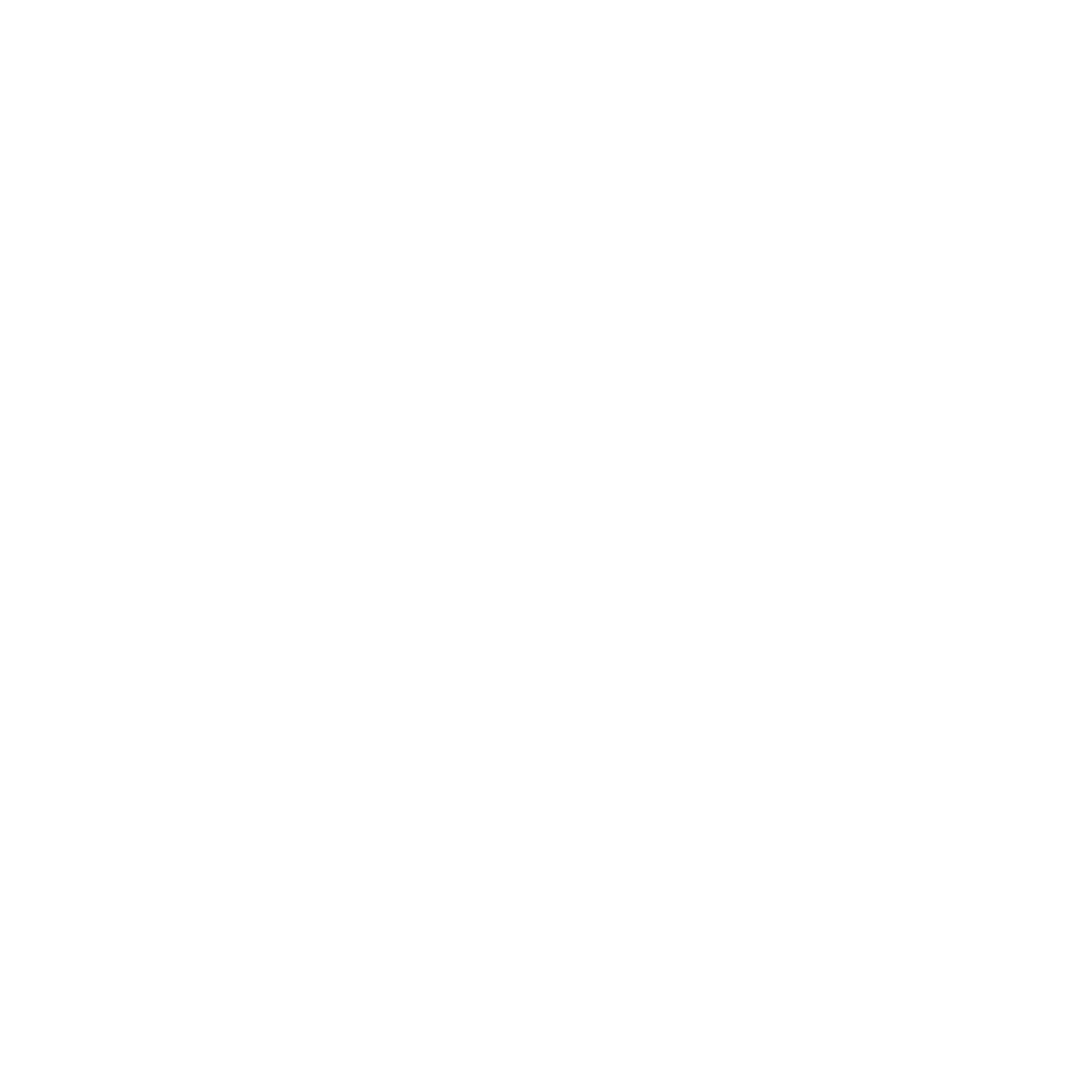 N Motion Window Tinting