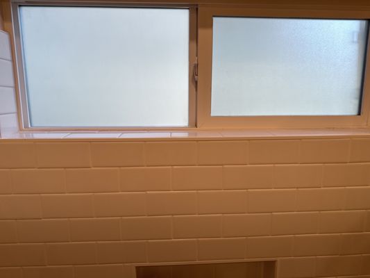 Frosted Privacy Film